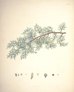 7797088544_31e38546f0_b (1)